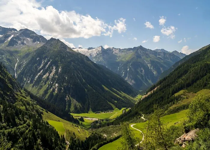 هاوس بريجيتا