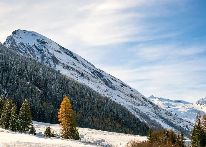 شقة هاوس بريجيتا تكس