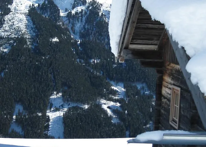 هاوس بريجيتا *