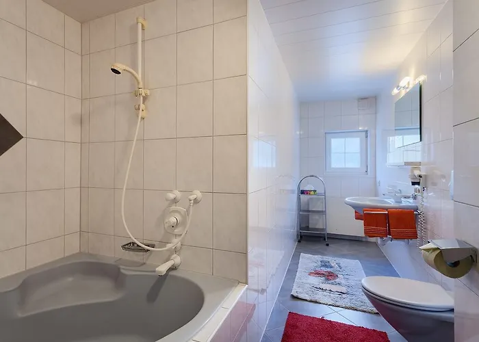 هاوس بريجيتا * تكس