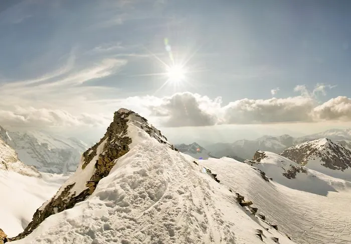 هاوس بريجيتا *