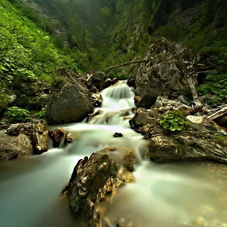 Haus Brigitta Appartamento Tux